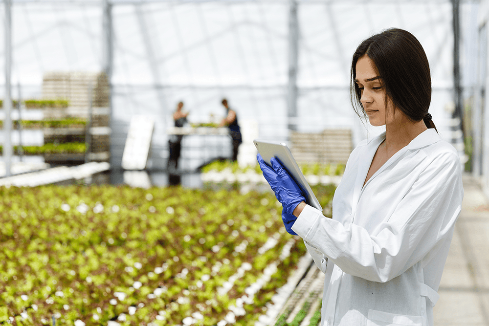 Alimentando el mundo de forma sostenible: El poder de la tecnología en la industria alimentaria